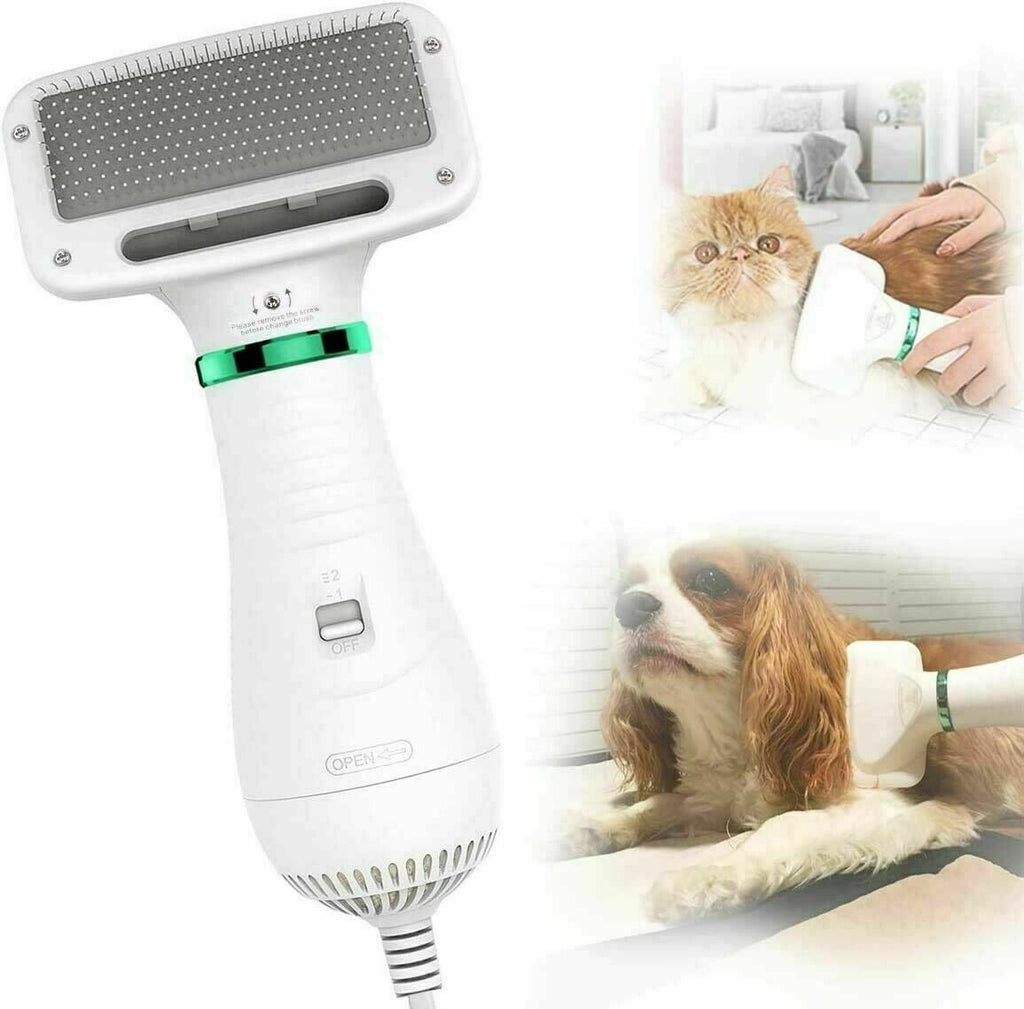 Asciugatore per Cani e Gatti 2 in 1 - Phon Spazzola Elettrico Silenzioso con Temperatura Regolabile, Cardatore per Sottopelo e Nodi con Punte Protette
