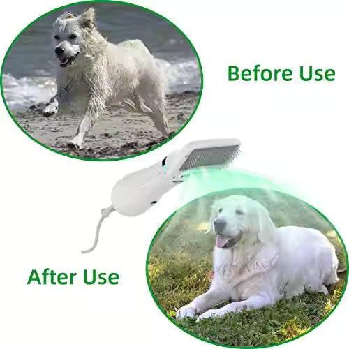 Asciugatore per Cani e Gatti 2 in 1 - Phon Spazzola Elettrico Silenzioso con Temperatura Regolabile, Cardatore per Sottopelo e Nodi con Punte Protette