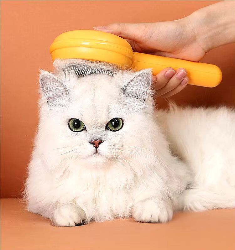 Spazzola per Gatti e Cani Autopulente - Cardatore per Sottopelo Morto e Nodi con Pulsante di Rimozione Rapida e Denti in Acciaio Inox