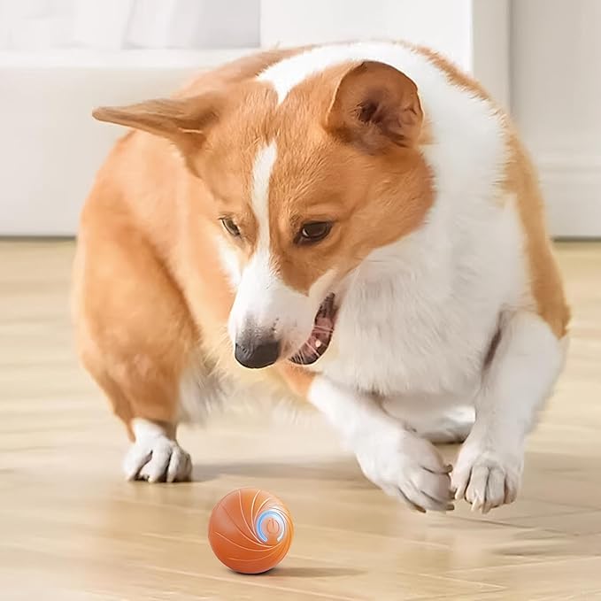 Pallina Intelligente per Cani | Palla Gioco Automatica e Interattiva USB